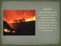 Brazilian Forest Fires slides 2