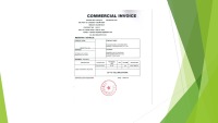 Import/export procedures and documentation 11