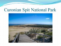 Curonian Spit National park 1