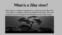 Slides about Zika virus 2