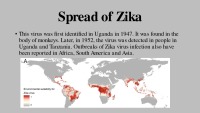 Slides about Zika virus 3