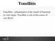 Tonsillitis slides