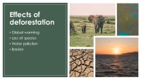 Slides about Deforestation 3