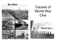 Causes of world war one 1