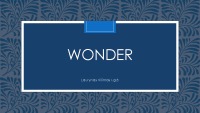 Raquel Jaramillo book „Wonder“ review 1