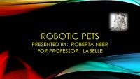 Robotic pets 1