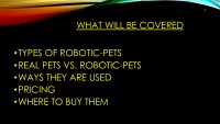 Robotic pets 2