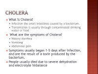 Pandemic presentation 3