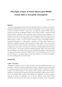 Phenotypic analysis of human disease gene RRAGB mutant allele in Drosophila melanogaster 1