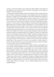 Phenotypic analysis of human disease gene RRAGB mutant allele in Drosophila melanogaster 2