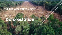 To raise awareness about Deforestation 1