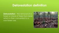 To raise awareness about Deforestation 2