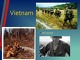 Vietnam slides