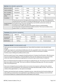 French Manicure Case Study 3