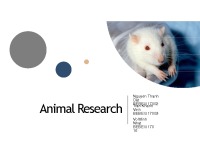 Animal Research 1