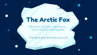 Arctic Fox slides 1