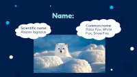 Arctic Fox slides 2