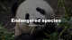 Slides about Endangered species