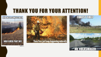 Forest Fires slides 10