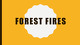 Forest Fires slides