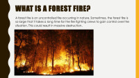 Forest Fires slides 2