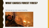 Forest Fires slides 3