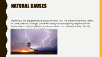 Forest Fires slides 6