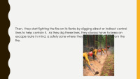 Forest Fires slides 8