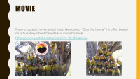 Forest Fires slides 9