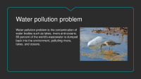 Water pollution problems slides 3