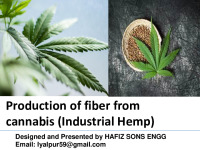 Hemp Production 1