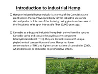 Hemp Production 2