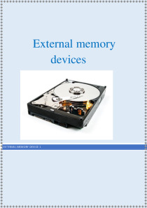 External Memory Devices essay 1