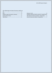 External Memory Devices essay 2