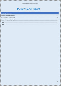 External Memory Devices essay 3