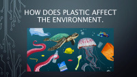 How does plastic affect the environment? 1