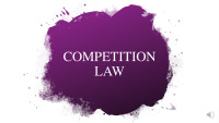 Competition law slides 1