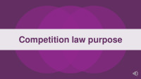 Competition law slides 2