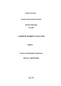 Labour market analysis (Hilton) 1