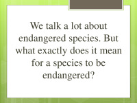 Endangered animal species presentation 2