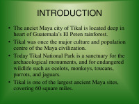 The Lost City of Tikal 2