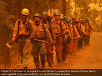 Windy Fire threatens California's iconic sequoia forest 2