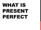 Present Perfect slides