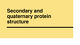 Secondary and quaternary protein structure