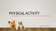 Slides on Physical activity