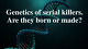 Genetics of serial killers Are they born or made?