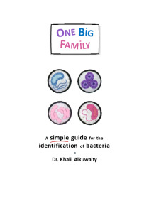 Big family bacterial classification 1