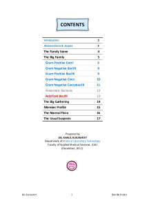 Big family bacterial classification 2