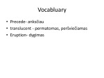 Deciduous dentition 2