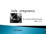 Safe pregnancy 1